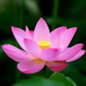 Meet your Posher, Cathryn